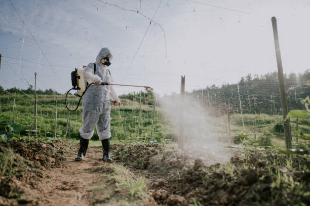 Best Pest Control for Businesses  in Sawmills, NC