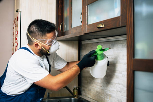  Sawmills, NC Pest Control Pros