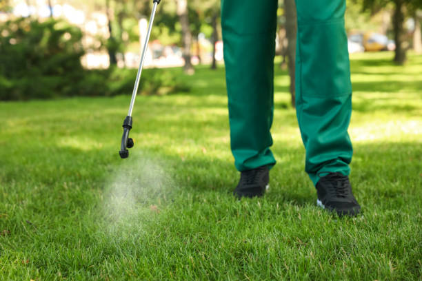 Best Emergency Pest Control  in Sawmills, NC