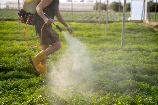 Best Best Pest Control Companies  in Sawmills, NC