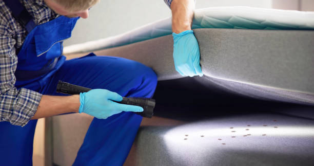 Best Exterminator Services  in Sawmills, NC