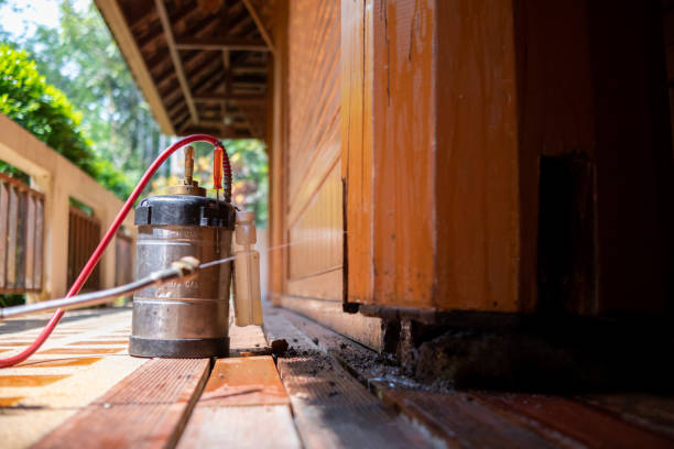 Best Local Pest Control Services  in Sawmills, NC