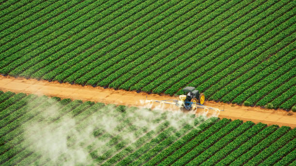 Best Commercial Pest Control Services  in Sawmills, NC