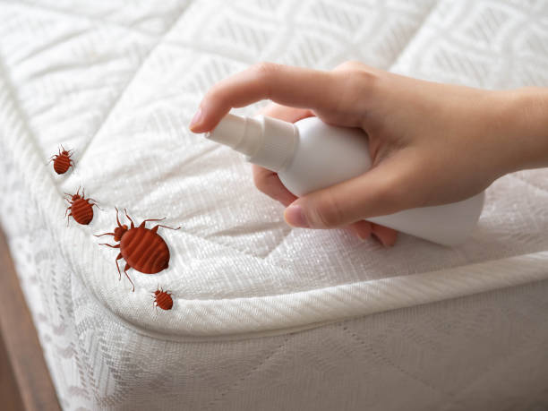 Reliable Sawmills, NC Pest Control Solutions