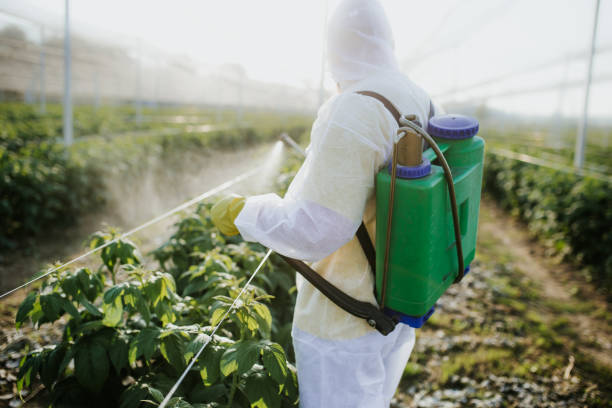 Pest Control for Restaurants in Sawmills, NC
